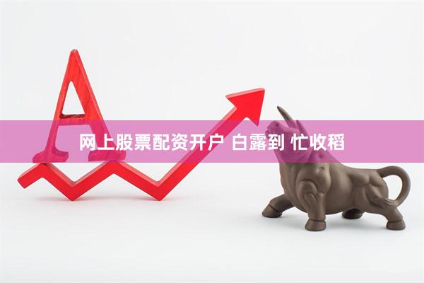 网上股票配资开户 白露到 忙收稻