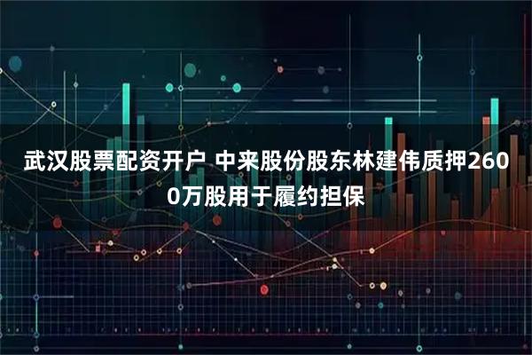 武汉股票配资开户 中来股份股东林建伟质押2600万股用于履约担保