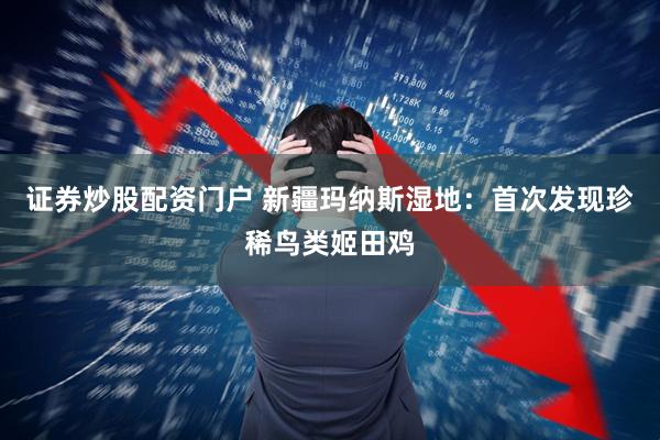 证券炒股配资门户 新疆玛纳斯湿地：首次发现珍稀鸟类姬田鸡